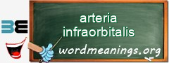 WordMeaning blackboard for arteria infraorbitalis